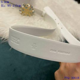 Picture of Chanel Belts _SKUChanelBelt30mm95-115cm8L106772